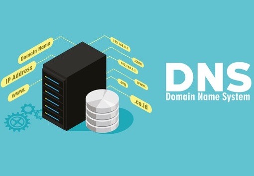 dns与域名的关系?